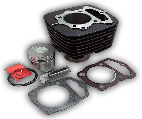 Поршневая 166FMM